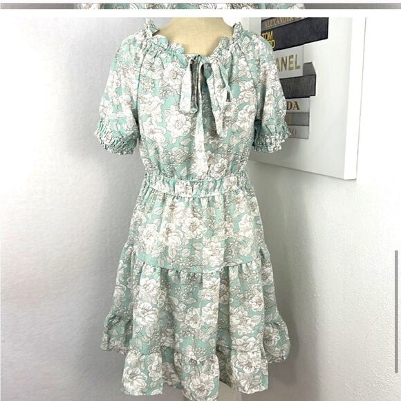 BLU PEPPER Ruffle Floral Mini Dress Puff-Sleeve Sage and Cream Sz S NWT - Picture 5 of 6